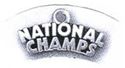 Picture of National Champs Charm