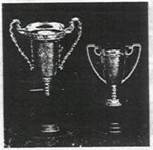 Picture of Tiny Gold Plastic Trophys
