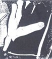 Flash Color Gloves